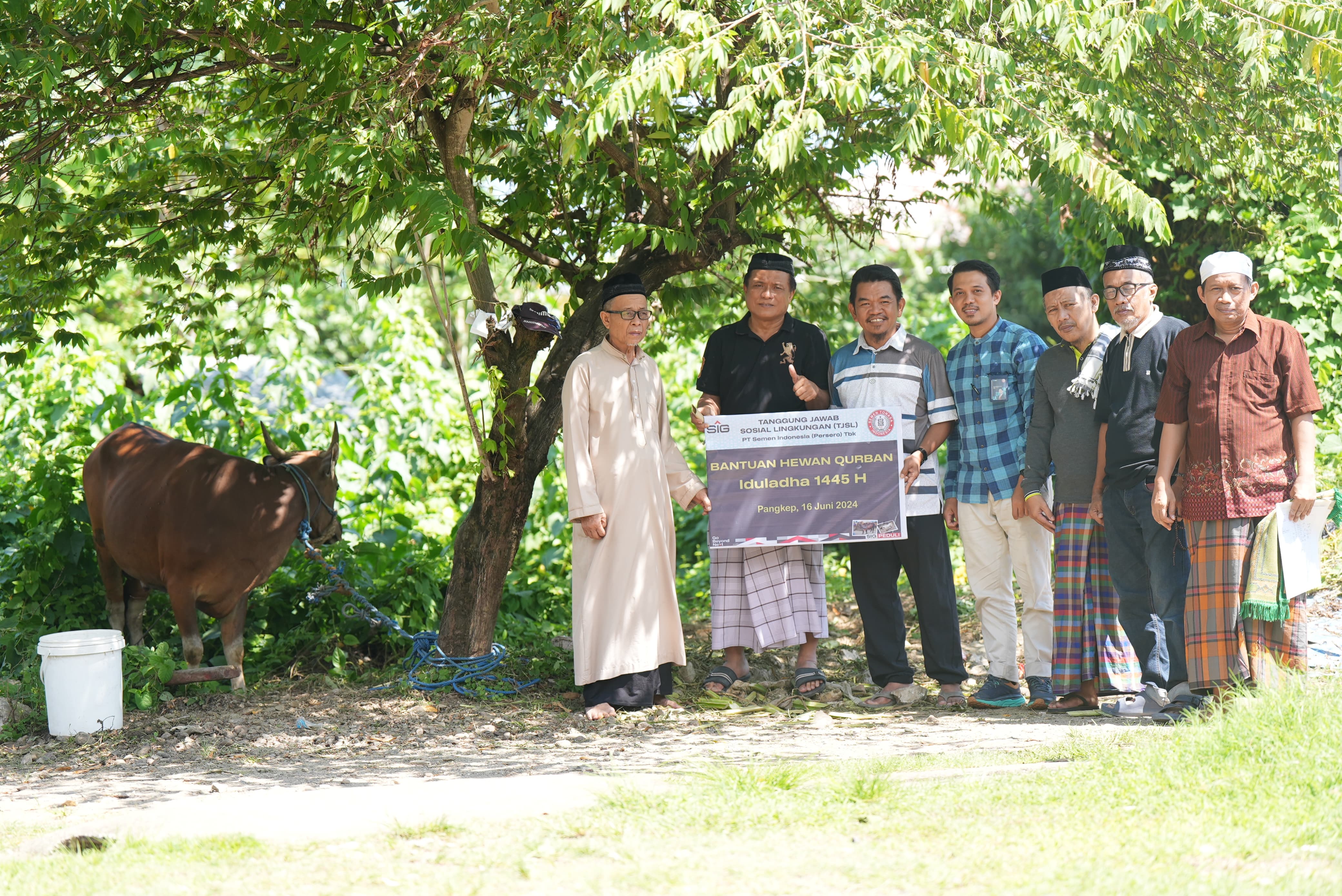 Sebanyak 42 Ekor Sapi Qurban Diserahkan Pada Idul Adha Tahun Ini