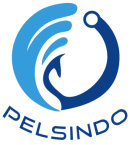 Logo Pelsindo New